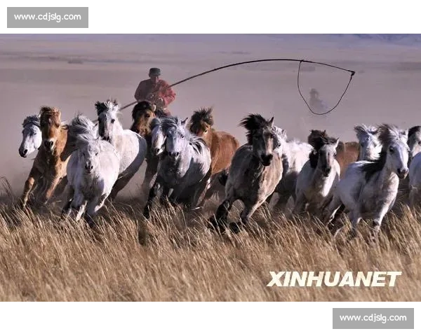马背天骄:锡林郭勒草原驯马人的传奇与传承 马背天骄:锡林郭勒草原驯马人的传奇与传承